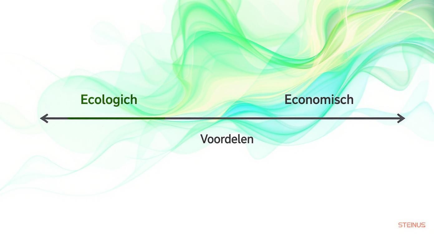 Spectrum diagram met ecologische en economische voordelen van groene energie als tegengestelde polen