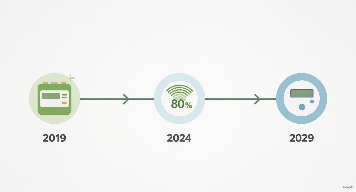 Infographic about wat is een slimme meter