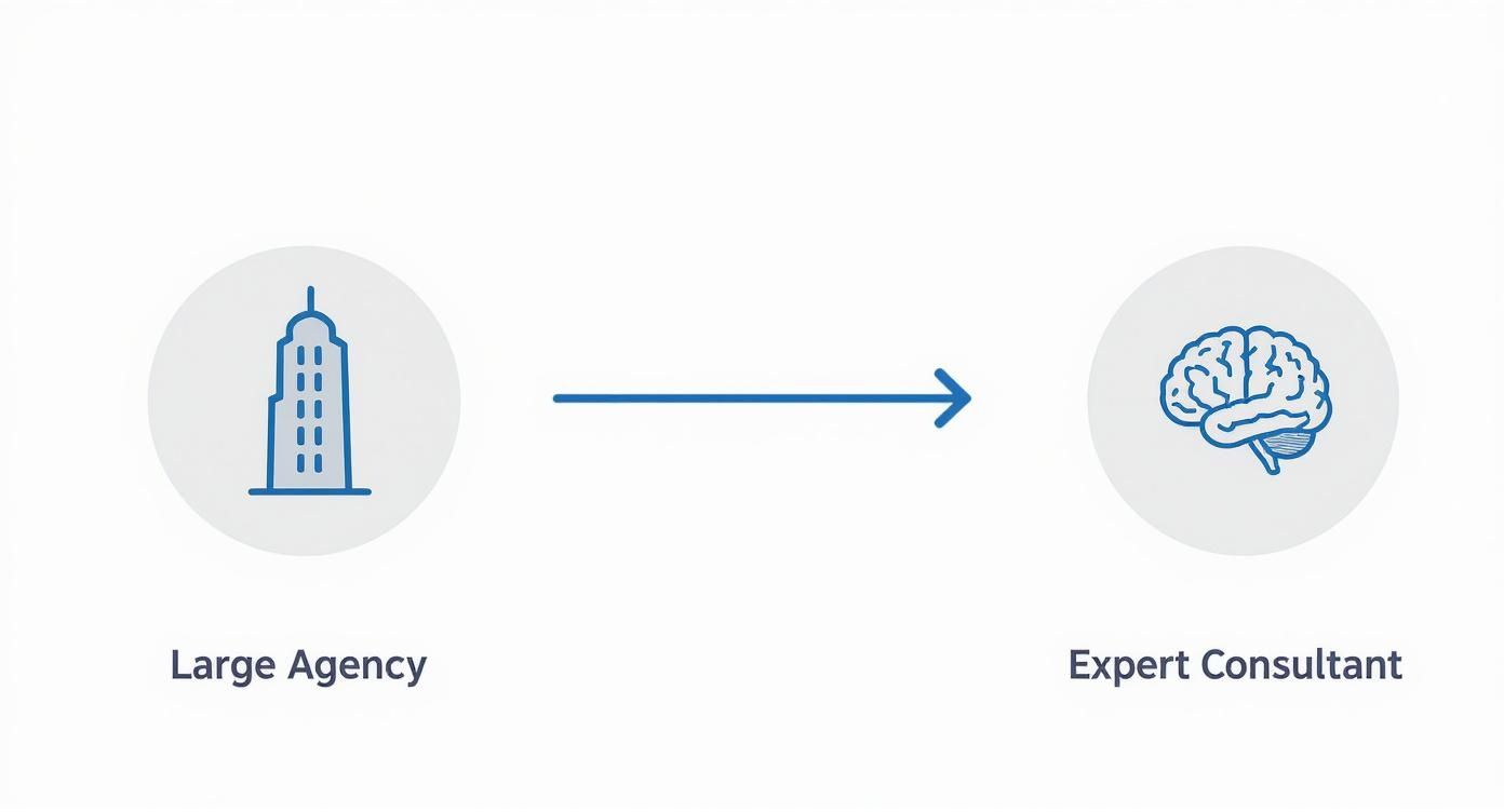 Infographic about ppc management pricing