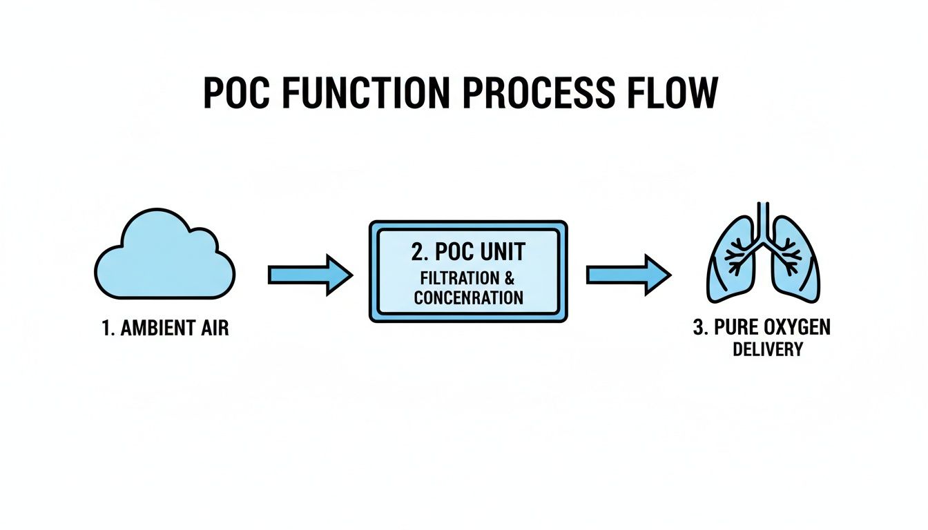 Process flow diagram showing how a POC unit purifies ambient air into pure oxygen for delivery.