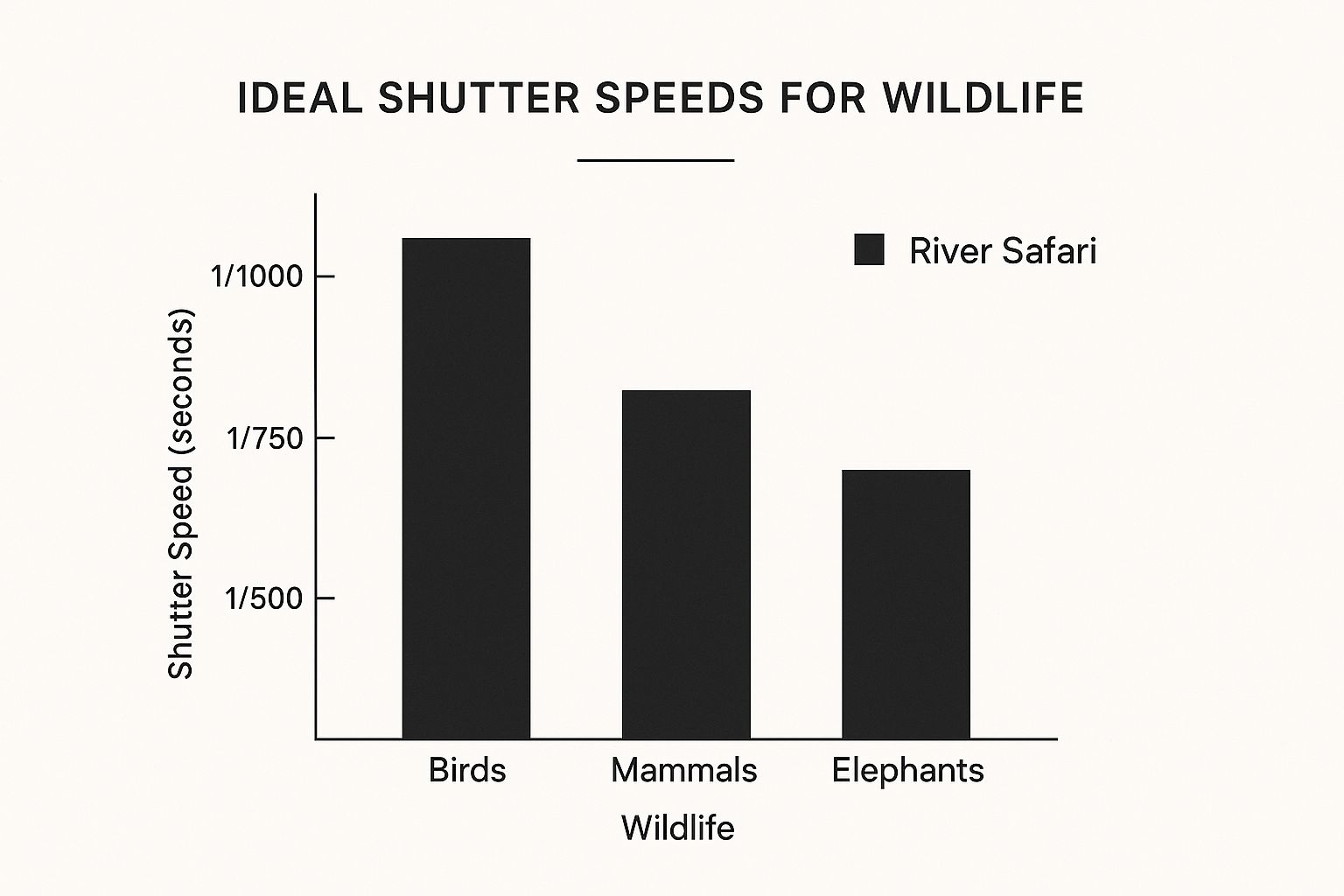 Chobe River Safari Wildlife Activity Chart