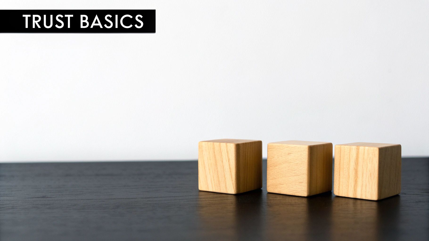 Three light wooden blocks on a dark surface, with a banner stating 'TRUST BASICS'.