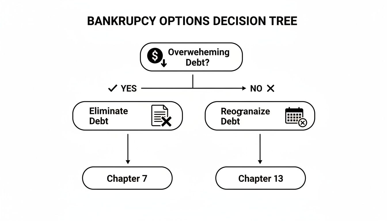 A decision tree illustrating bankruptcy options based on whether debt is overwhelming, leading to Chapter 7 or Chapter 13.