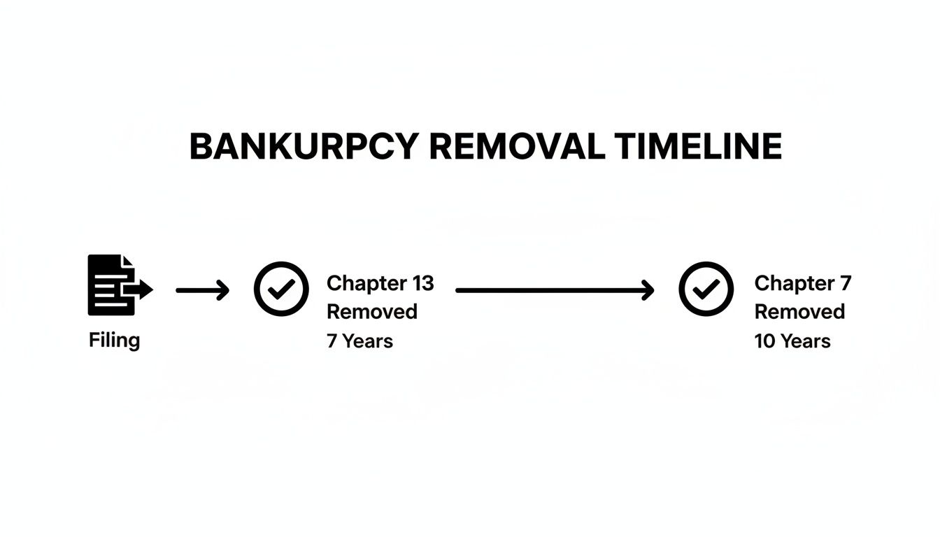 A bankruptcy removal timeline showing Chapter 13 removed in 7 years and Chapter 7 in 10 years.