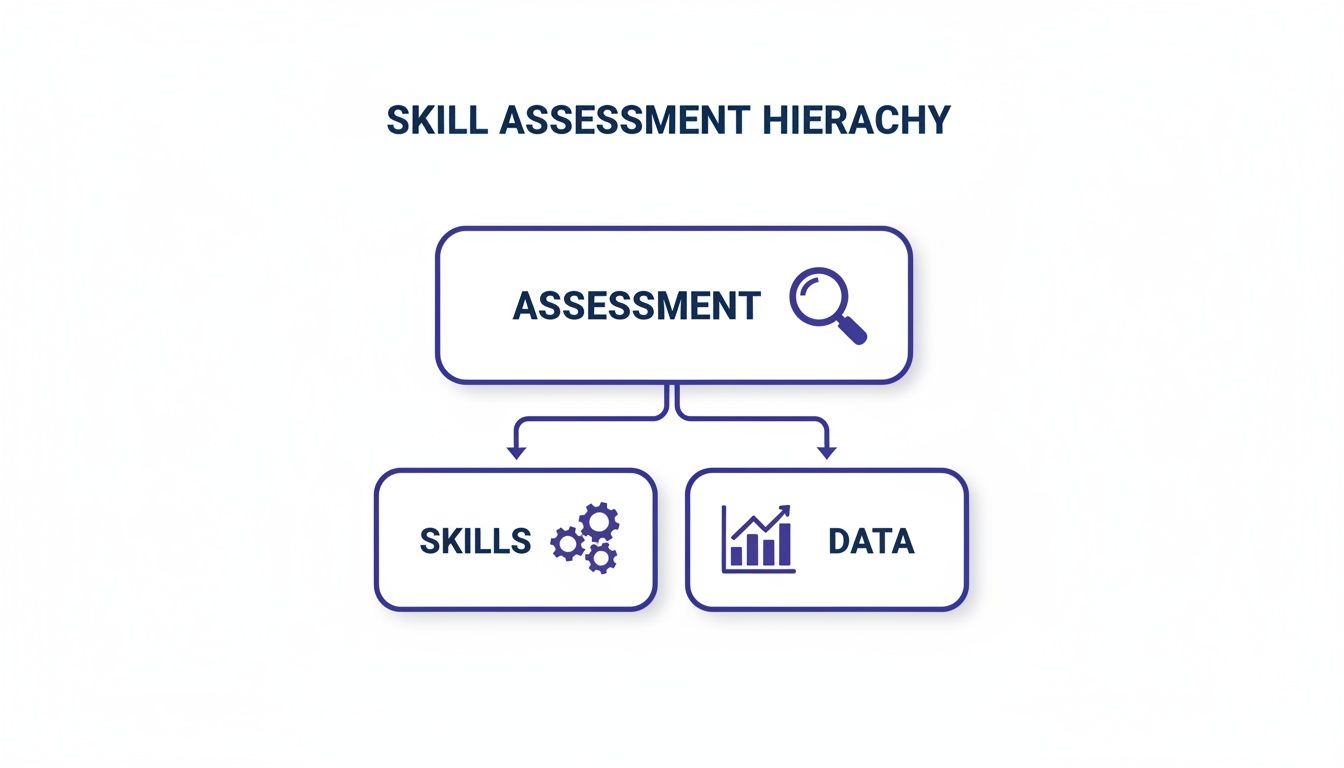 Diagram illustrating a skill assessment hierarchy, connecting assessment with skills and data analysis.