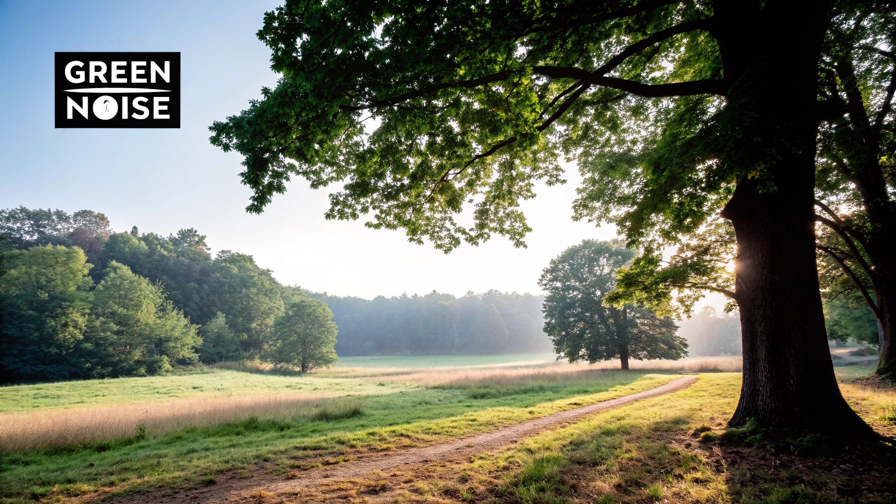 Green Noise Properties and Benefits