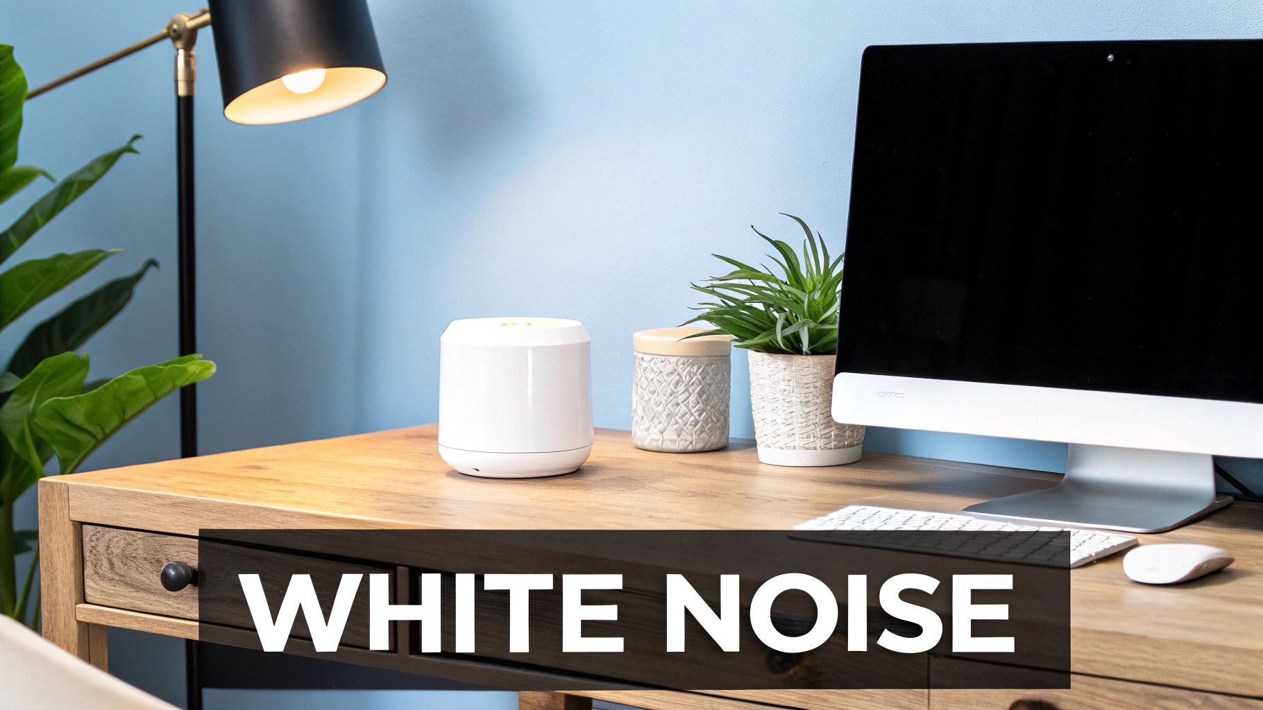 White Noise Characteristics and Applications