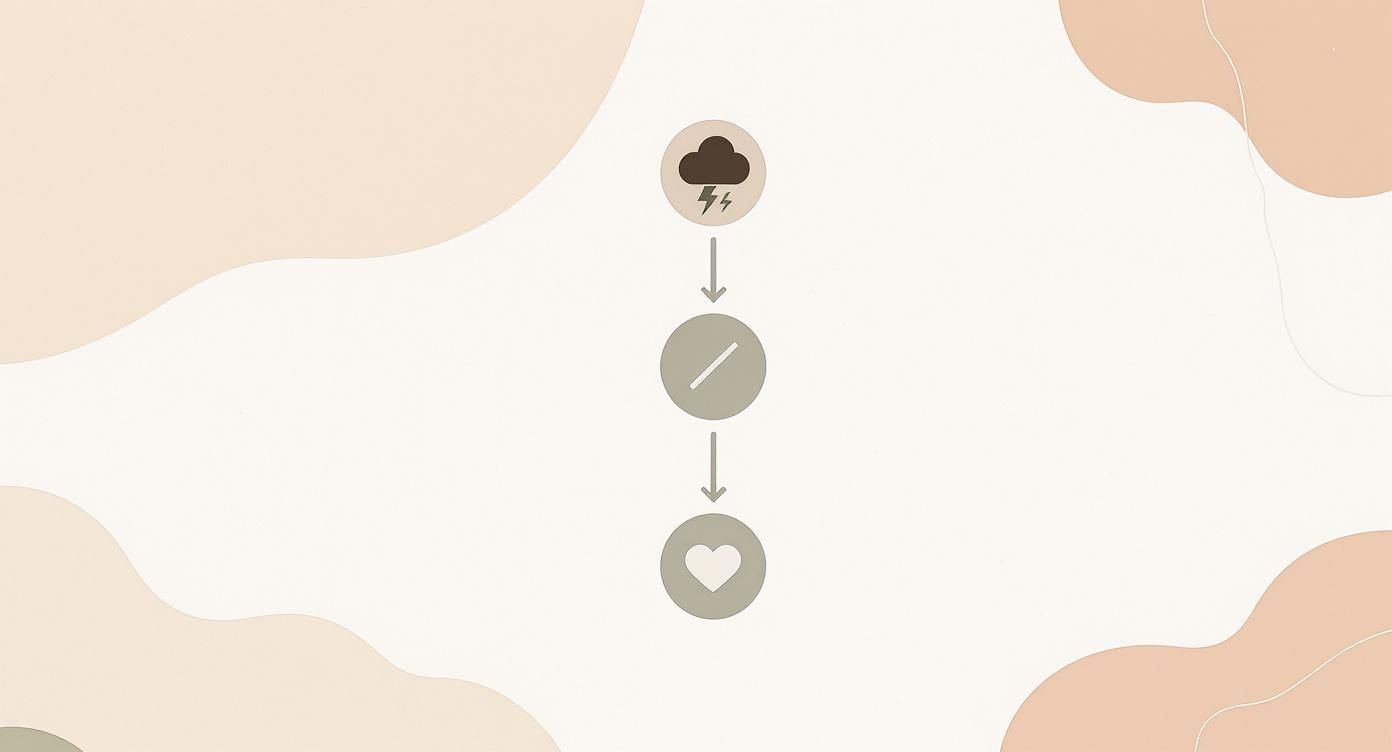 Diagram przedstawiający przejście od burzy i stresu, przez rozwiązanie, do miłości i spokoju.