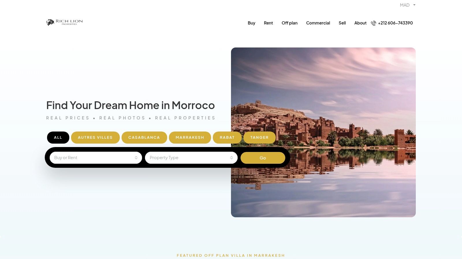 Rich Lion Properties