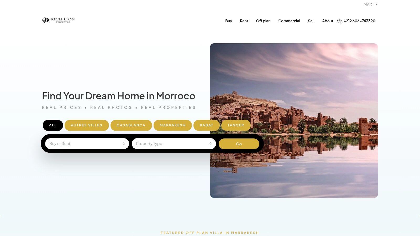 Rich Lion Properties