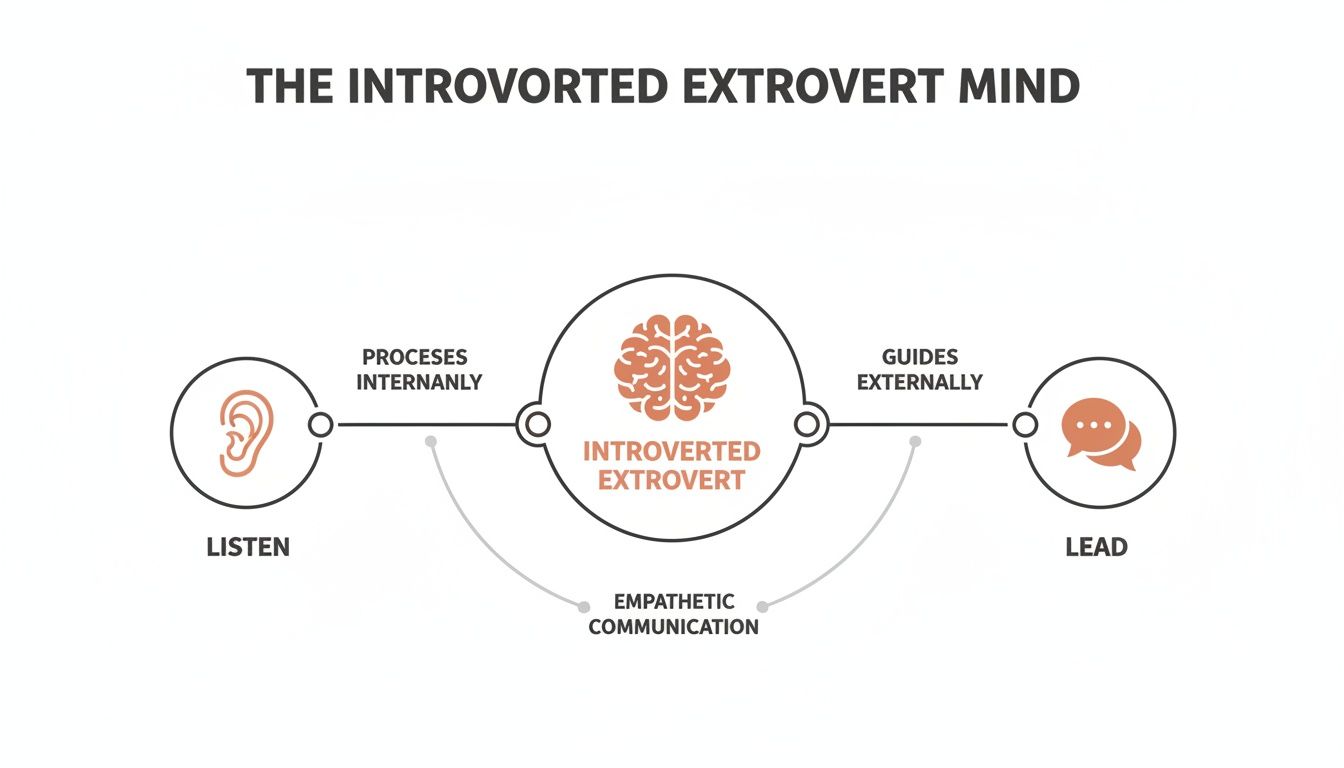 Diagram showing how an introverted extrovert thinks: listen, process, guide, and lead.