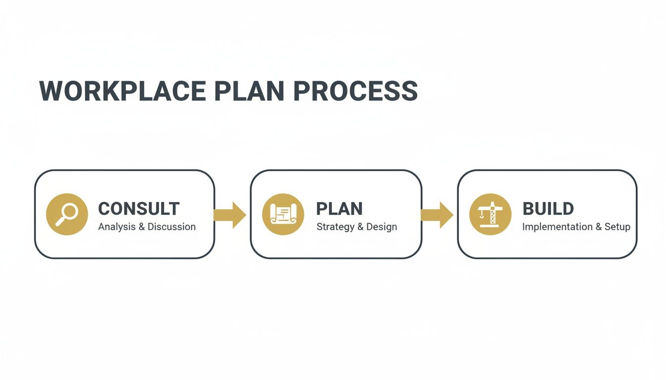 A diagram illustrating the workplace plan process, detailing consult, plan, and build stages with descriptions.