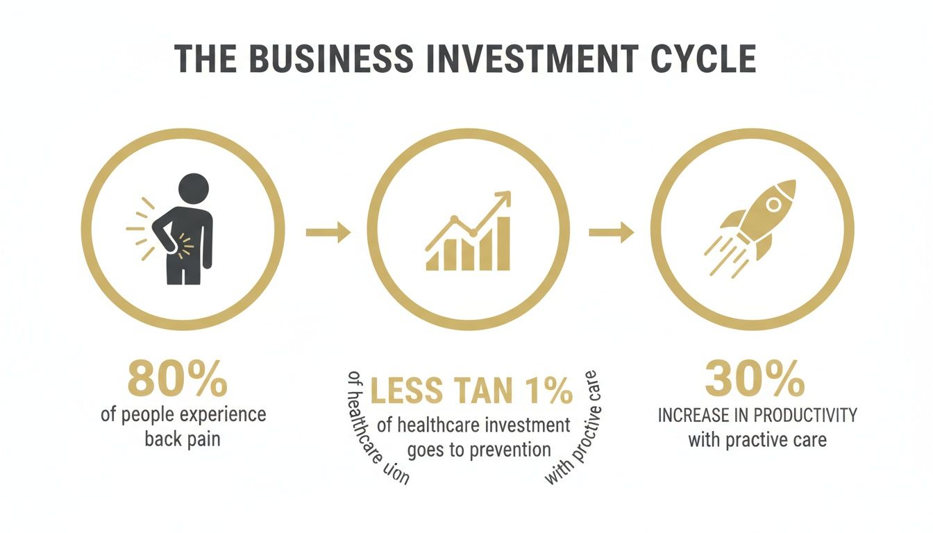 Infographic showing the business investment cycle, highlighting back pain, low prevention, and increased productivity with proactive care.