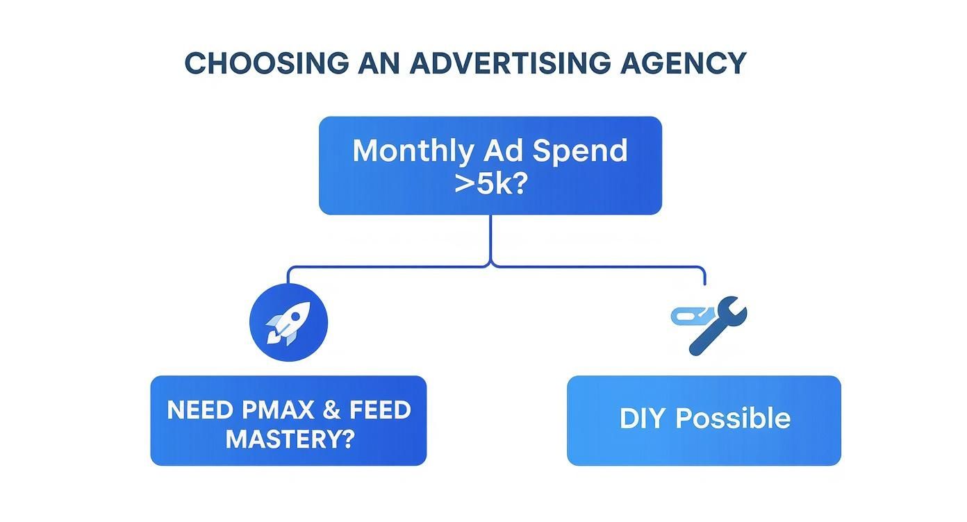 Infographic about google shopping agencies