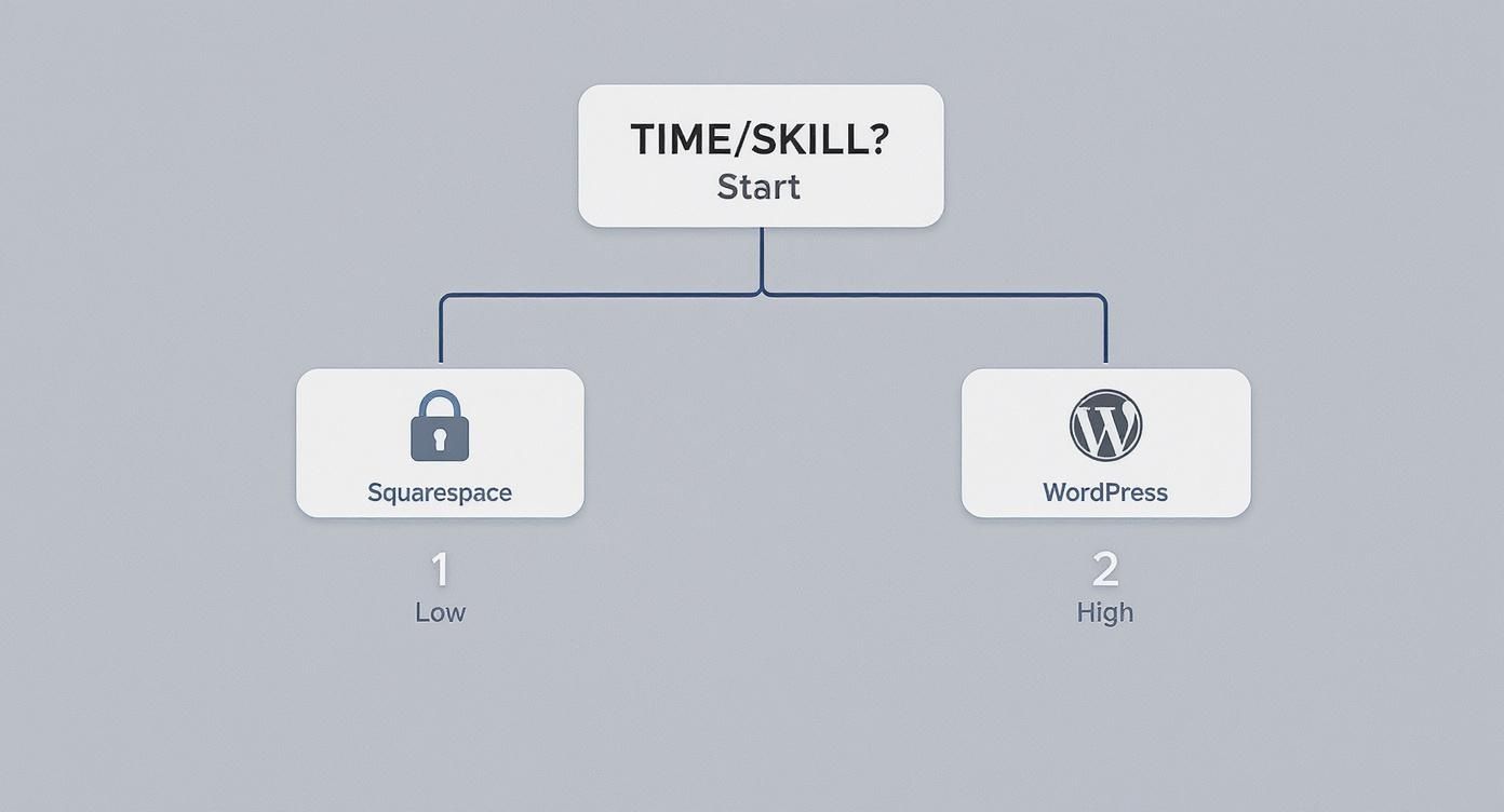 Infographic about squarespace vs wordpress