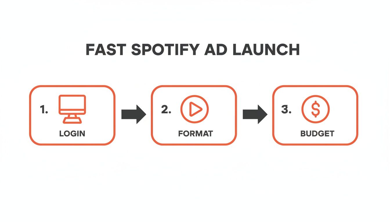 Infographic about advertise on spotify