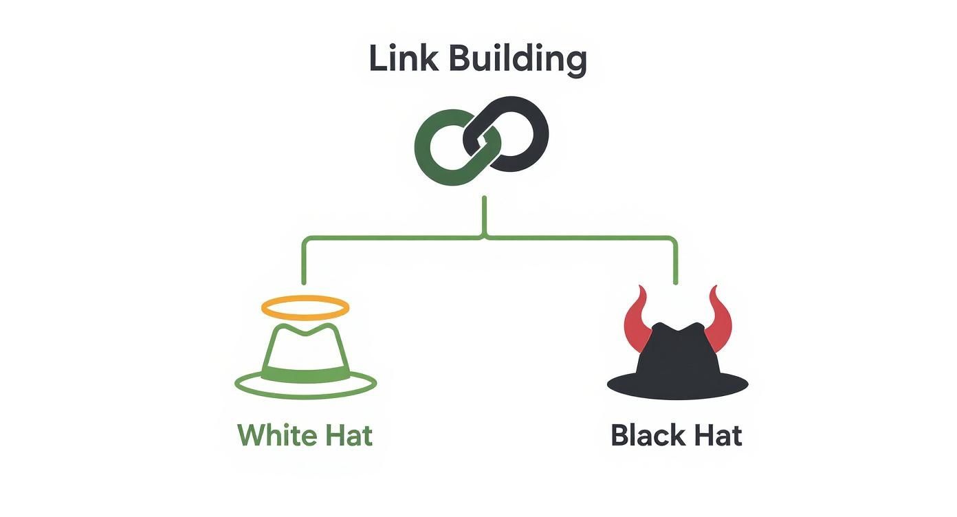 Diagram illustrating link building methods, categorizing them into white hat (ethical) and black hat (unethical) strategies.