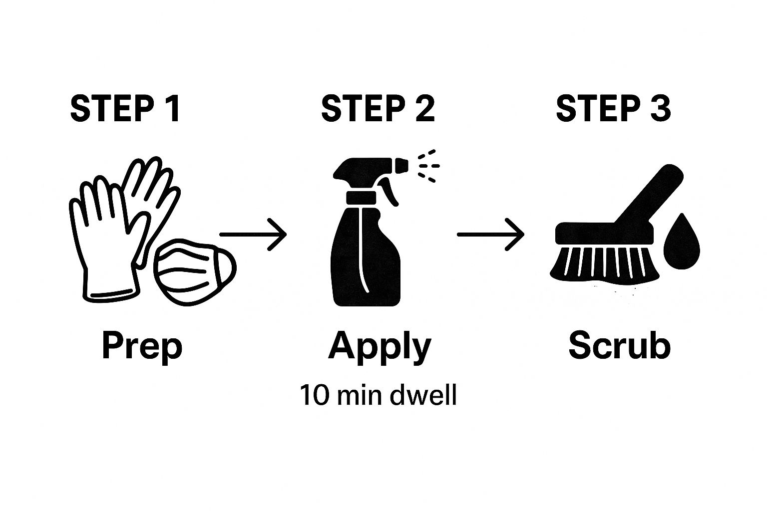 Infographic showing a three-step process to kill mould naturally, starting with preparation, then application, and finally scrubbing.
