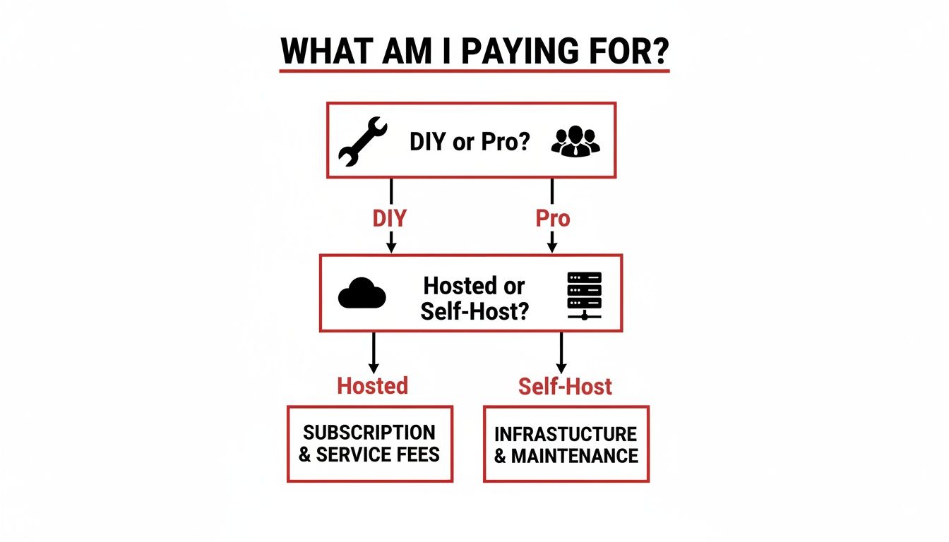 Infographic about ecommerce website design services