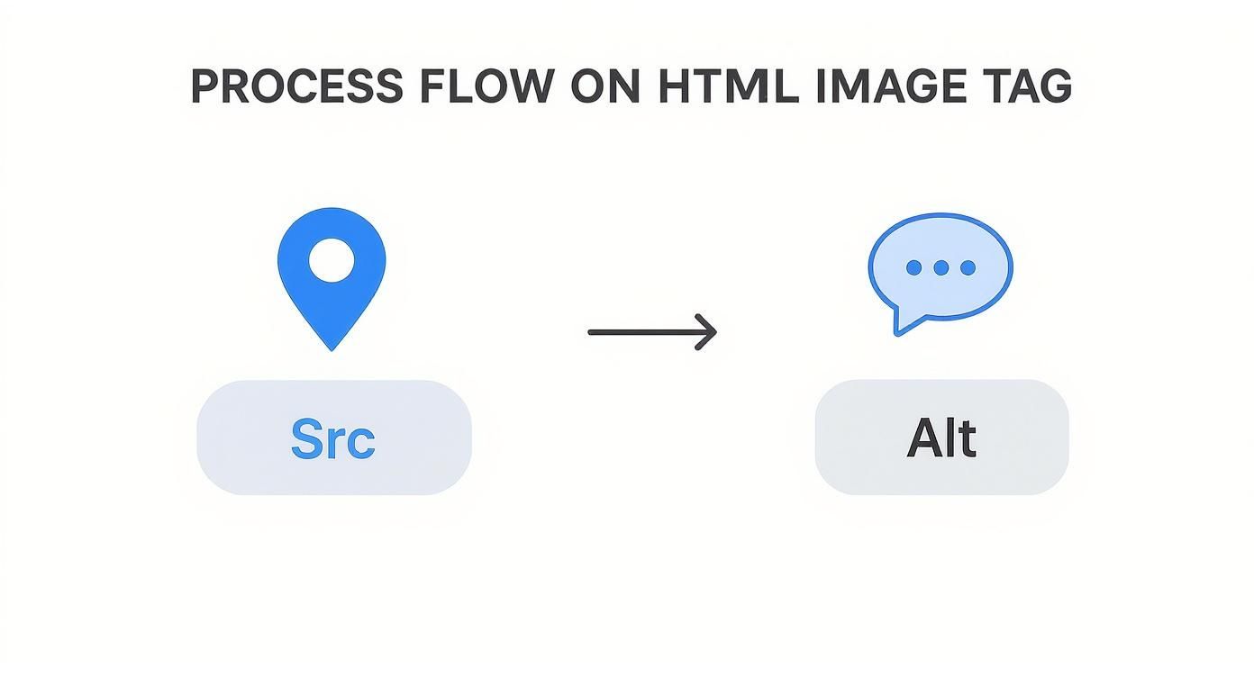 Infographic about how to include image in html