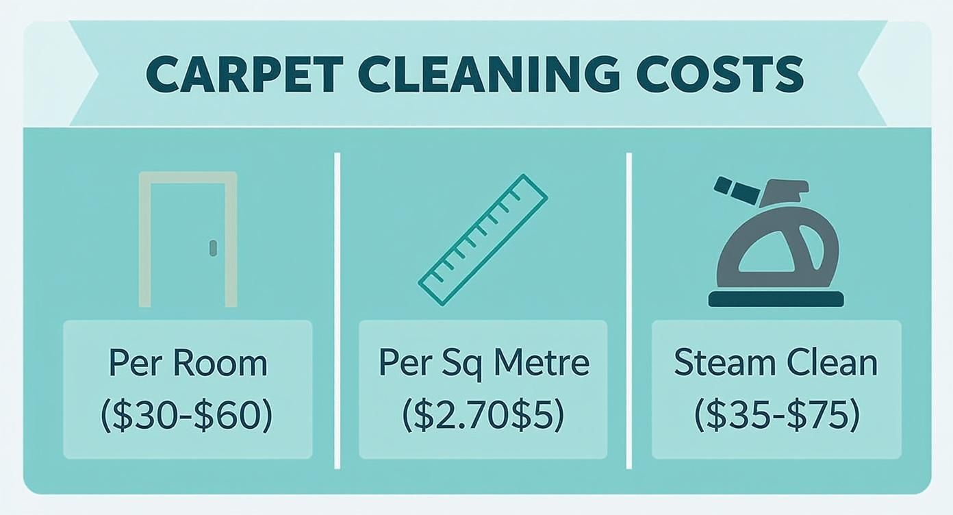 Infographic about how much do carpet cleaners charge