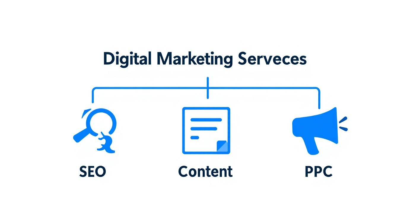 Infographic about digital marketing services