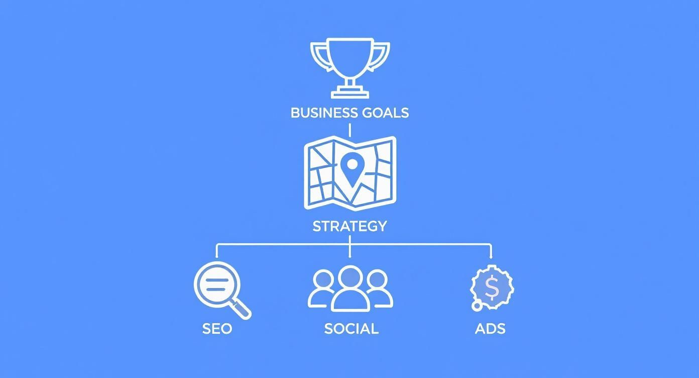 Infographic about digital marketing consulting