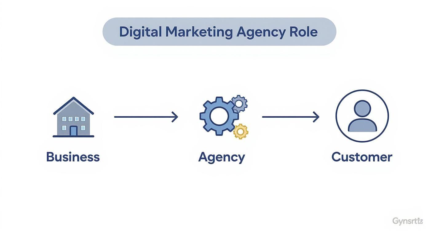 Infographic about digital marketing agencies