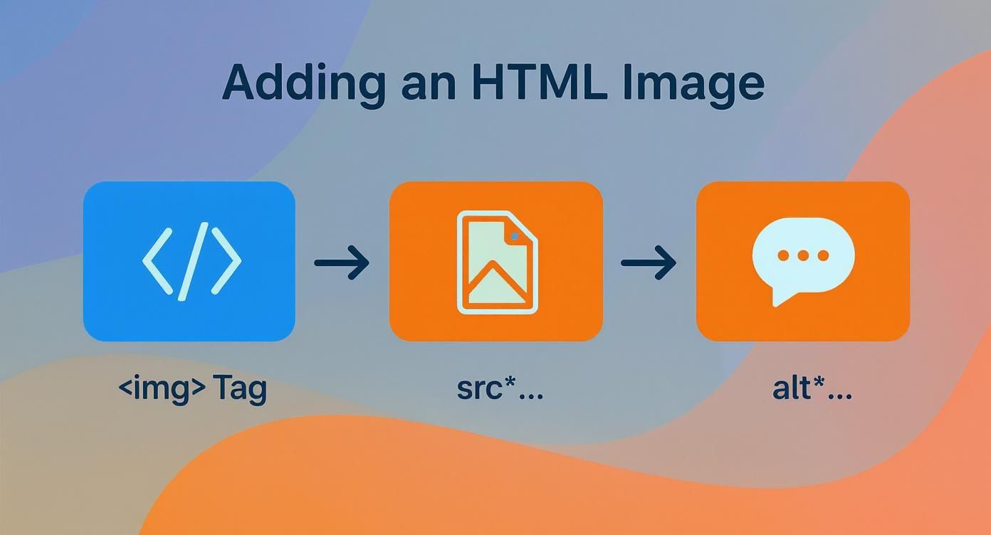 Flowchart showing how to add an HTML image using the <img> tag, src attribute, and alt attribute.