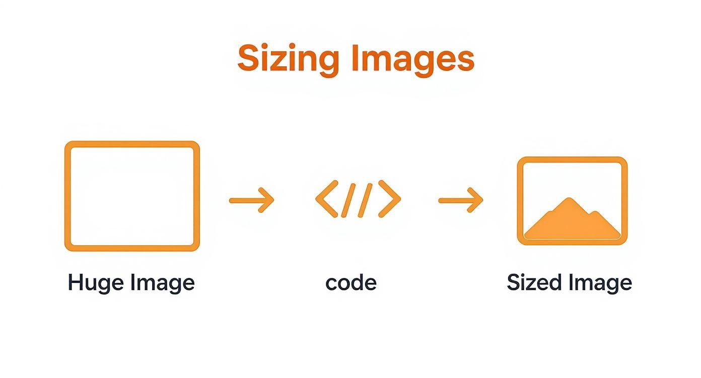 Infographic about how to insert images in html