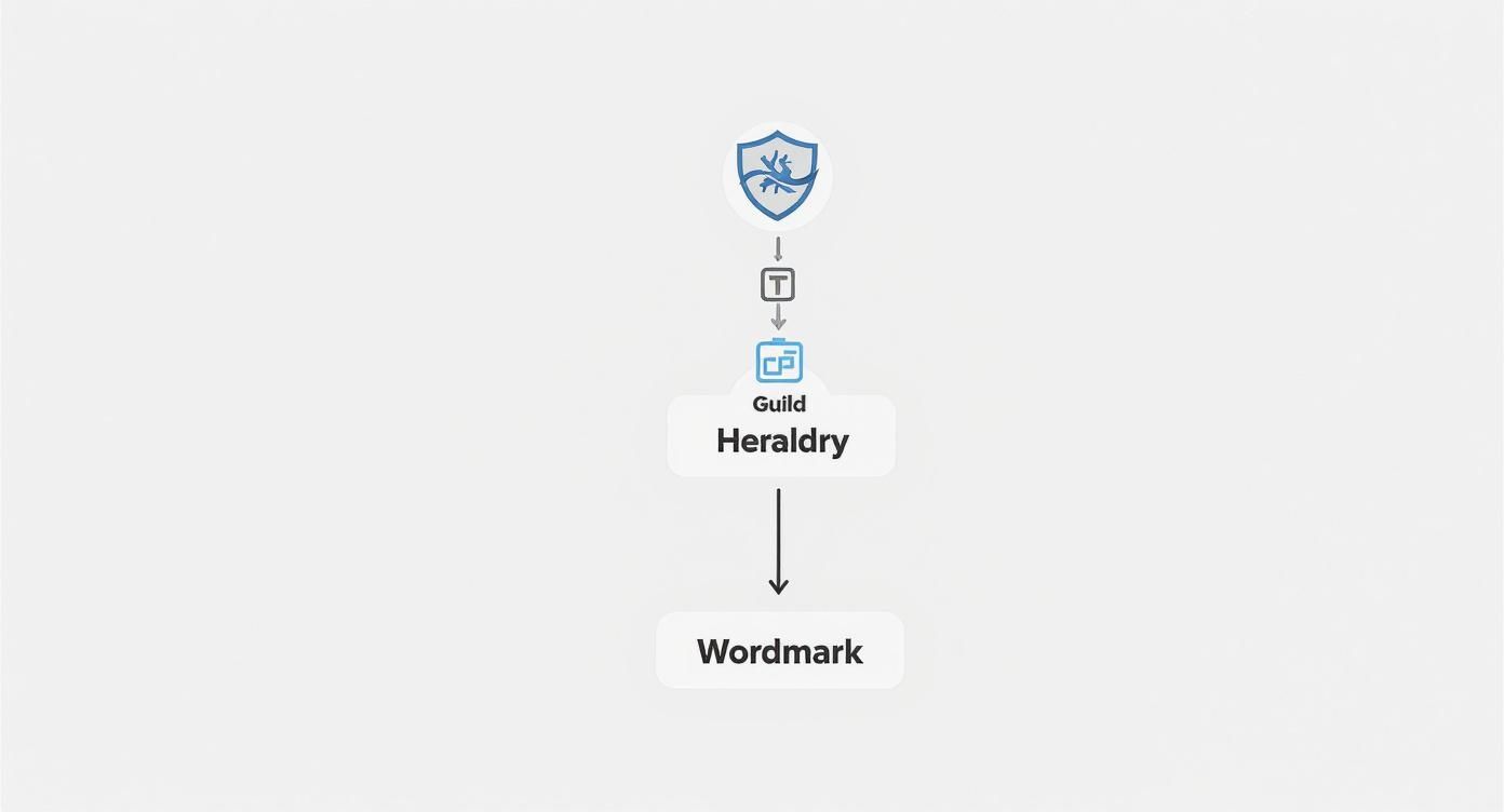 Infographic about evolution of logos