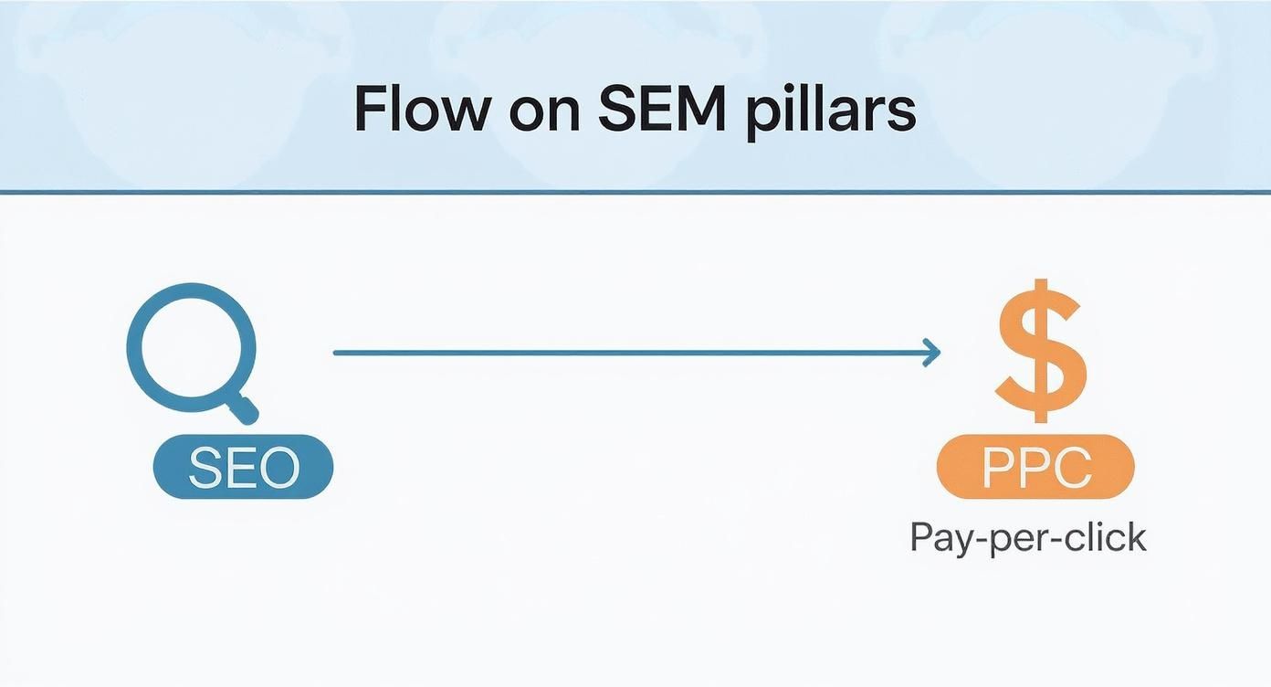 Infographic about what is search engine marketing