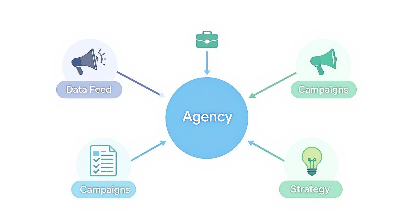 Infographic about google shopping agency