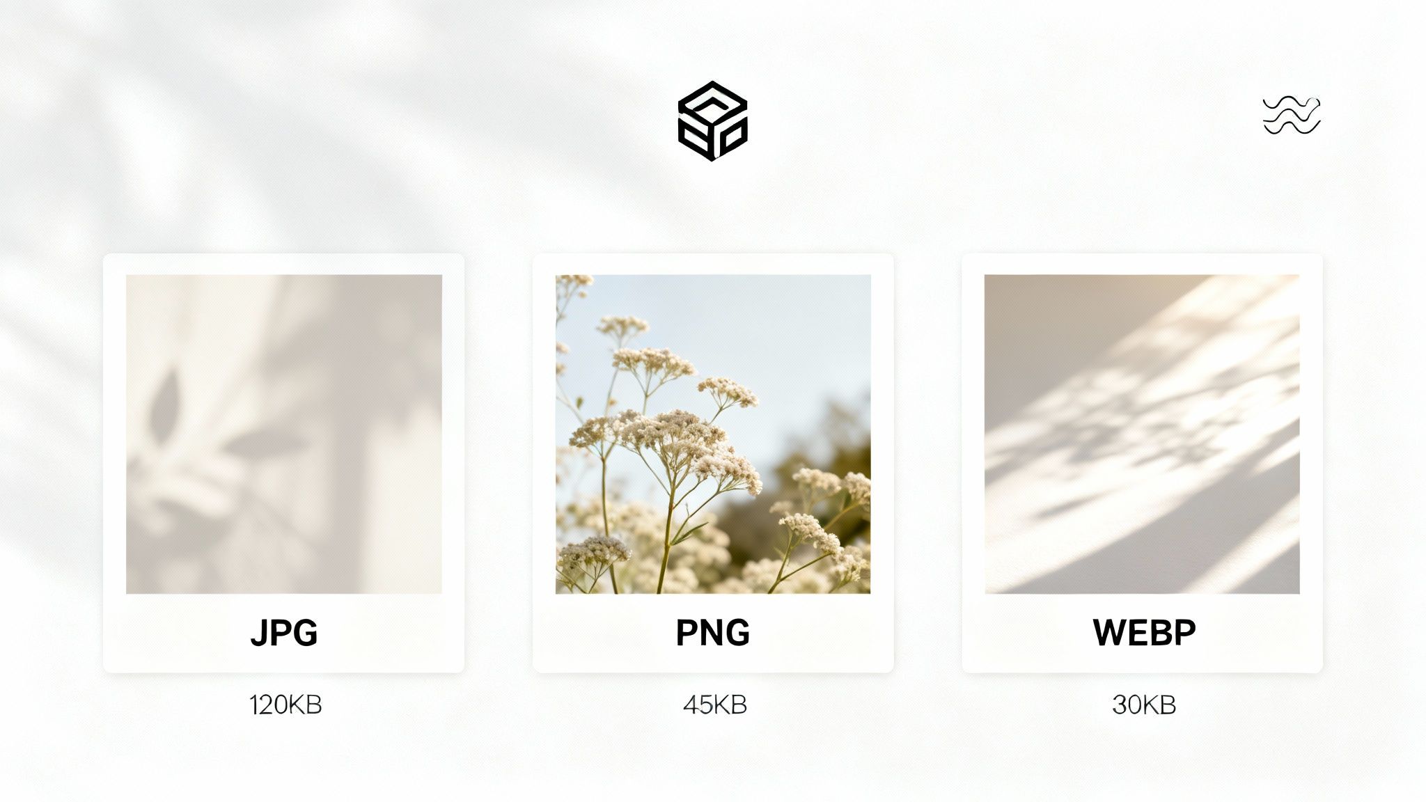 Comparison of JPG, PNG, and WEBP image formats with their respective file sizes, displayed on a textured white background with shadows.