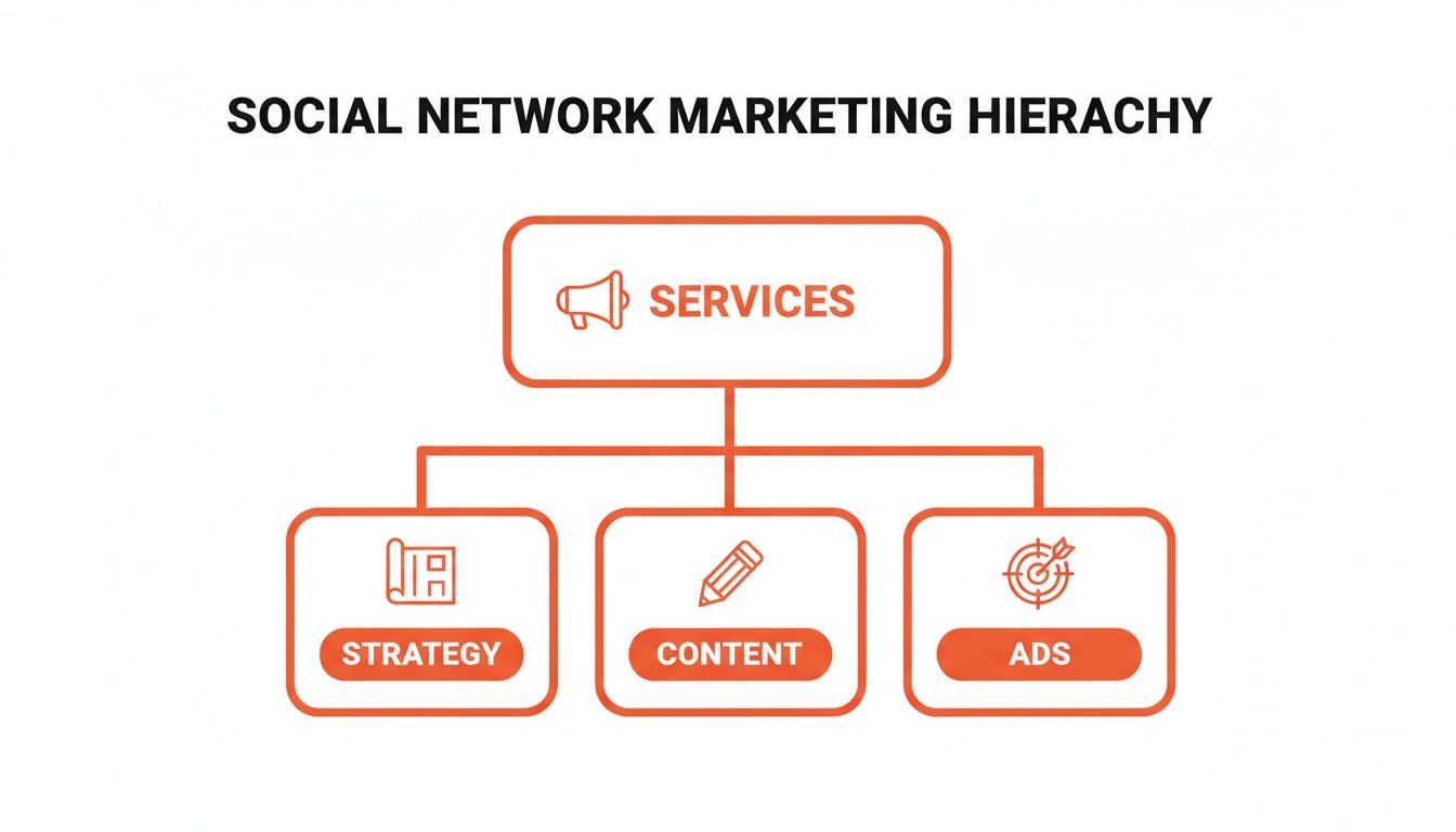 A hierarchy diagram illustrating social network marketing services, including strategy, content, and ads.