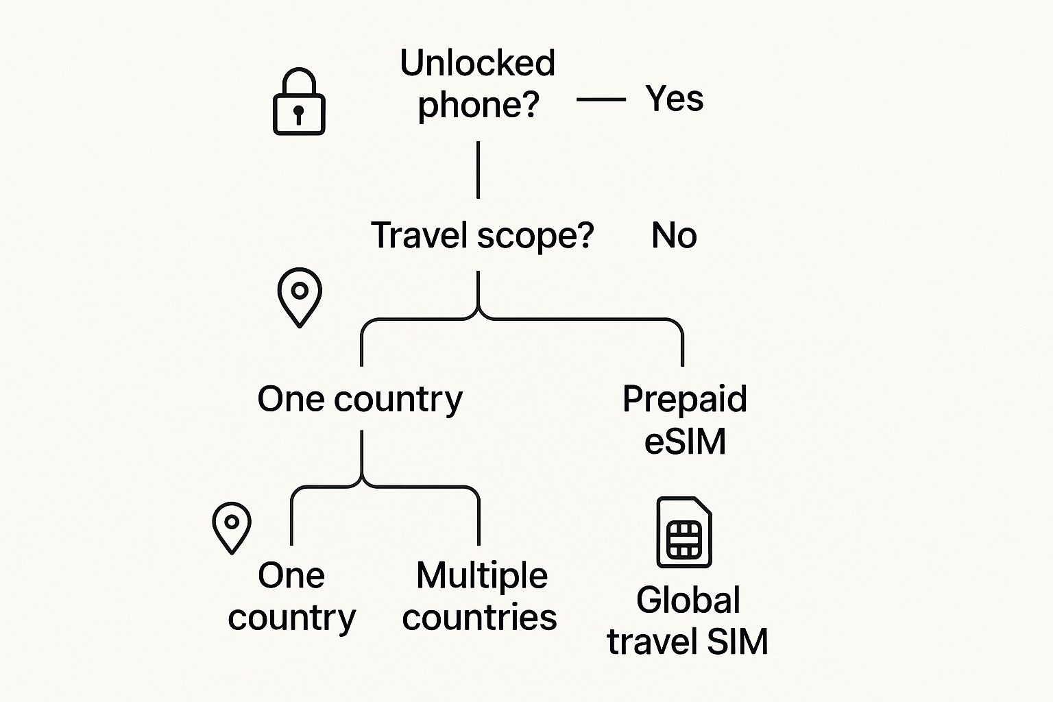 Infographic about sim card for international travel