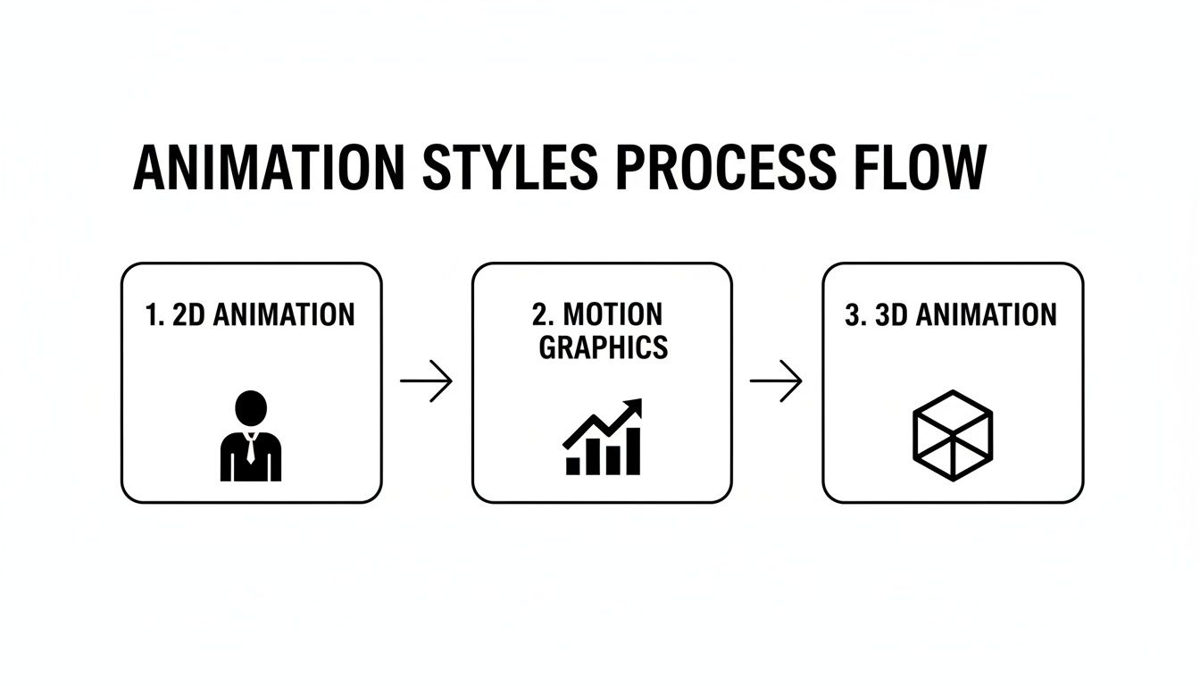 Process flow diagram illustrating three animation styles: 2D Animation, Motion Graphics, and 3D Animation.