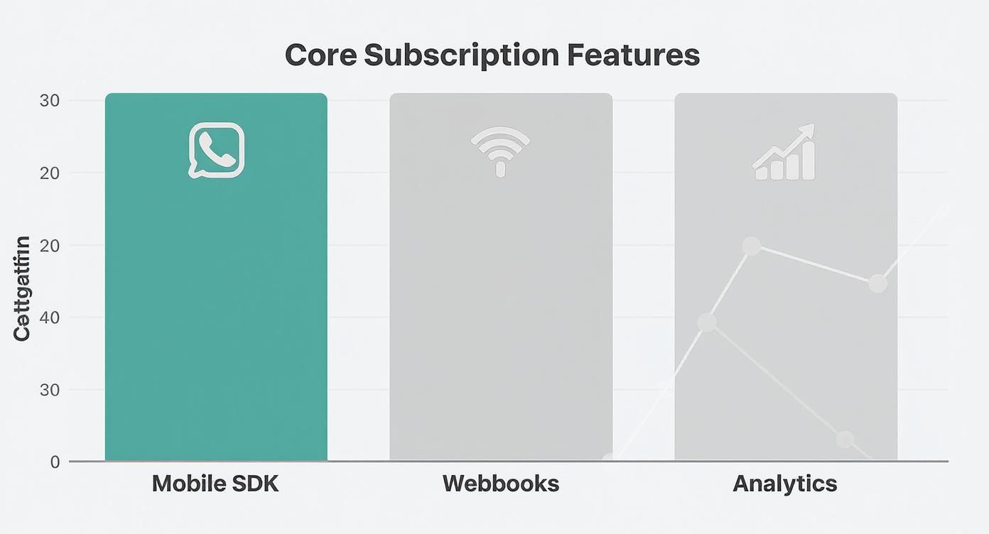Bar chart displaying core subscription features including Mobile SDK, Webhooks, and Analytics with icons