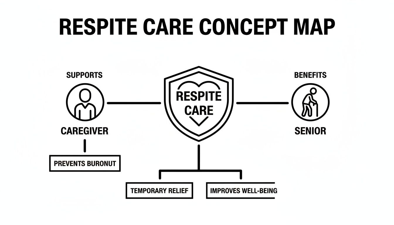 A concept map illustrating Respite Care, its support for caregivers, and benefits for seniors.