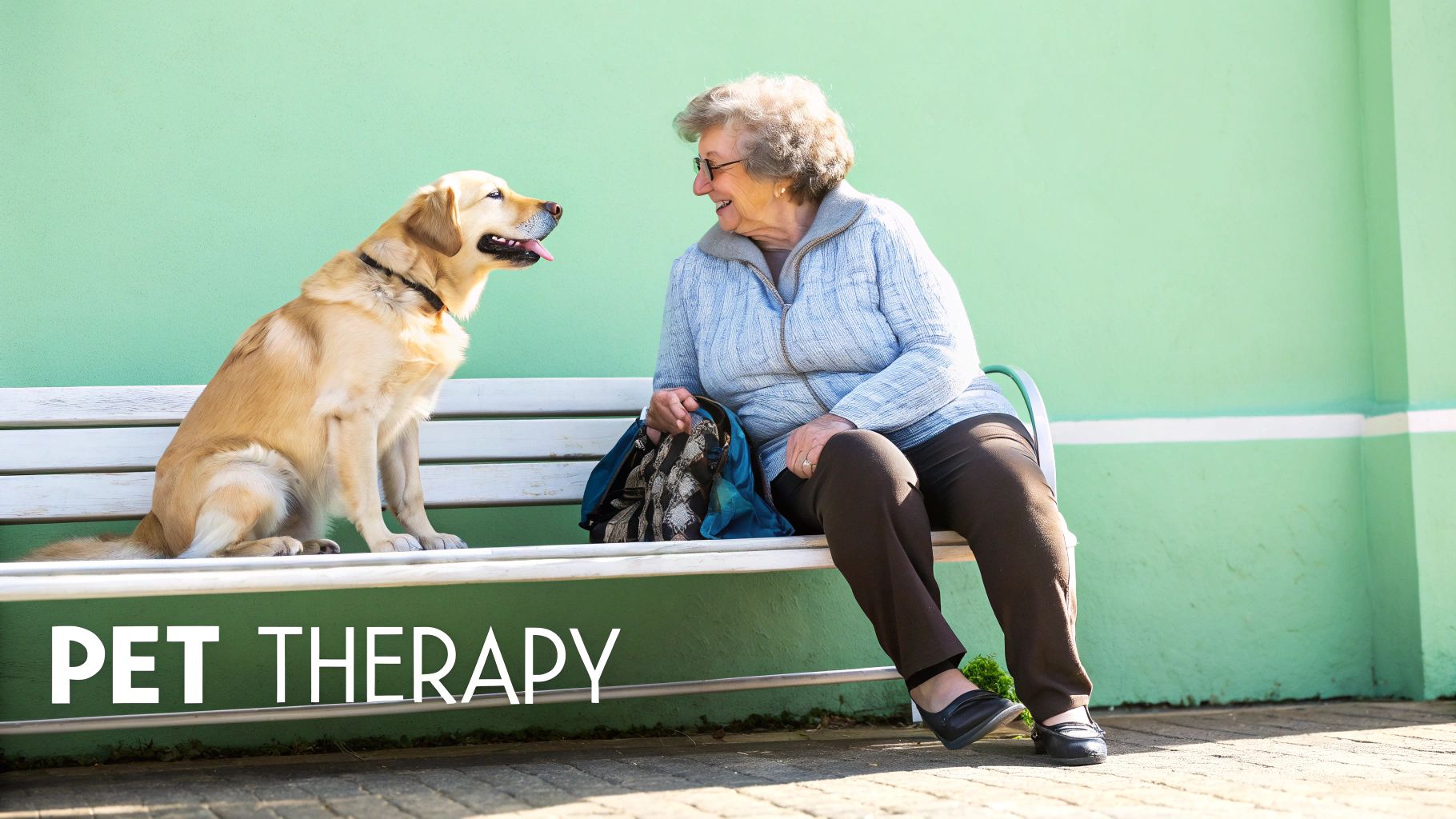 An older woman enjoys pet therapy, sitting on a bench with a friendly golden retriever.
