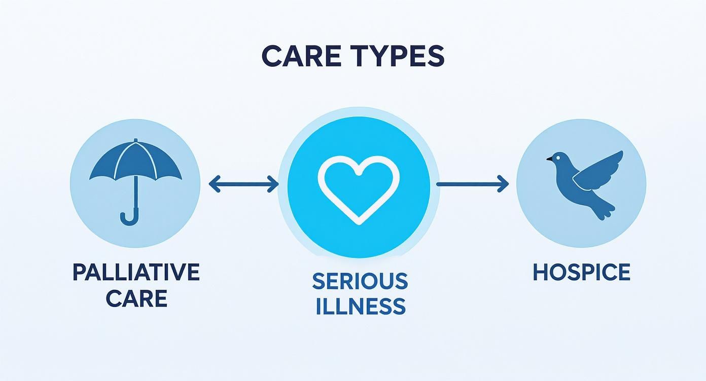 Diagram illustrating care types: palliative care and hospice services for serious illness, represented by umbrella, heart, and dove icons.