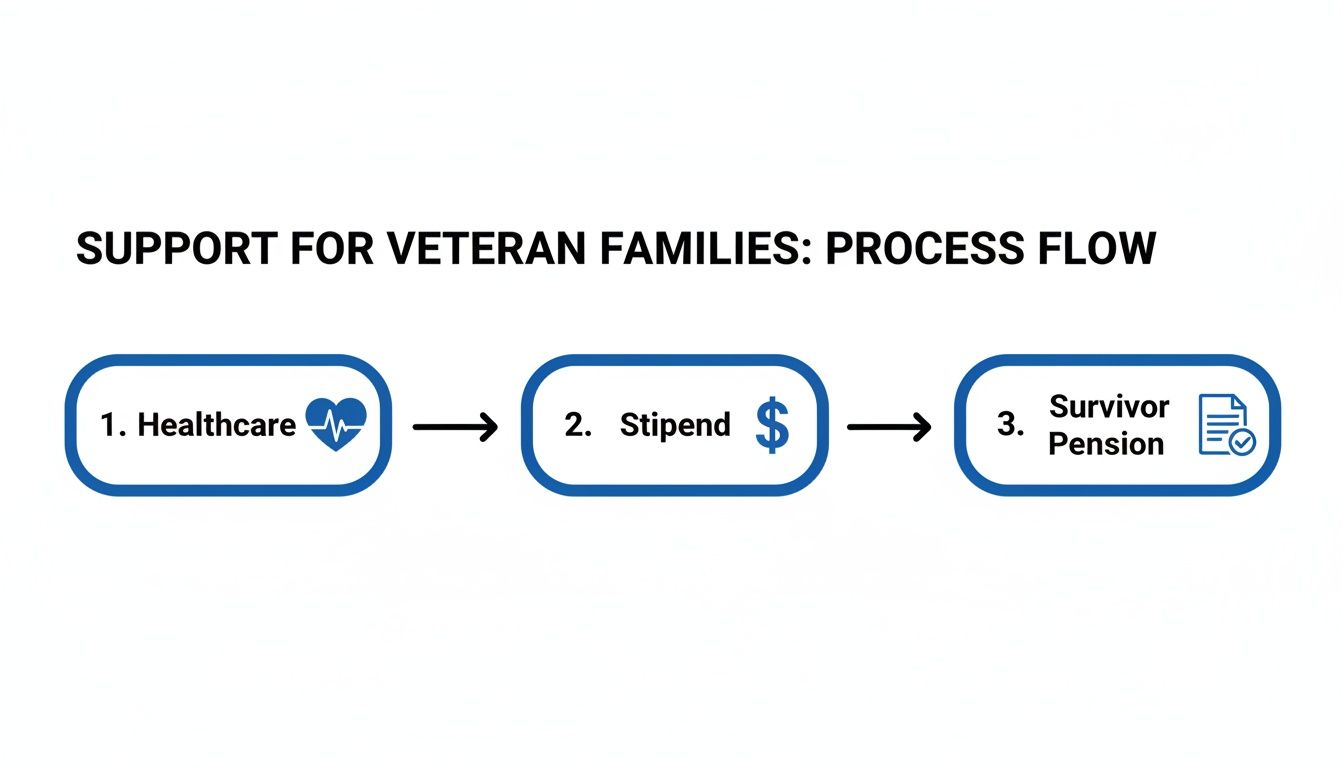 A process flow outlining support for veteran families, including healthcare, stipends, and survivor pensions.