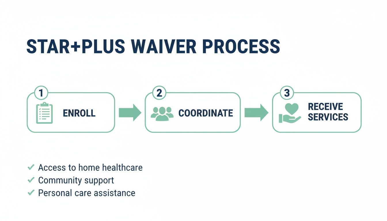 Flowchart showing STAR+PLUS waiver process: Enroll, Coordinate, Receive Services. Benefits include home healthcare, community support, and personal care.