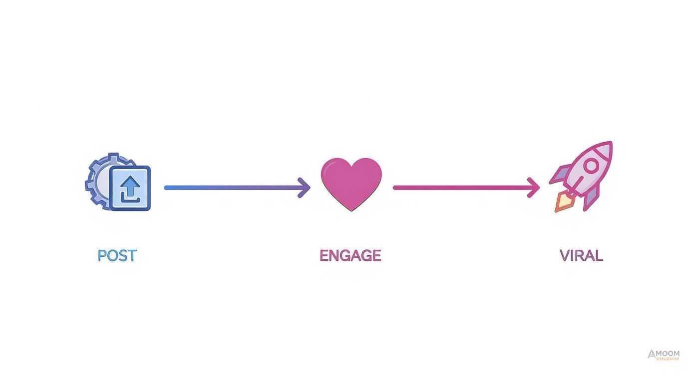 Infographic about best time to post on tiktok aus