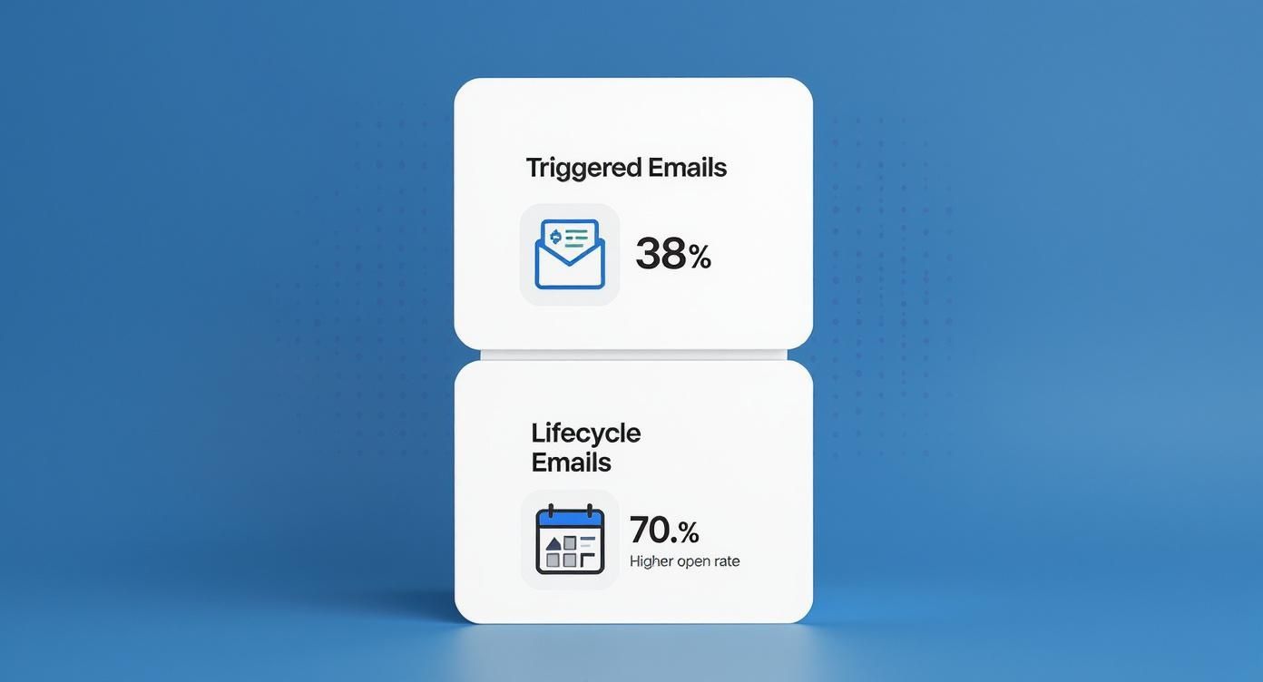 Infographic about what is an edm in marketing