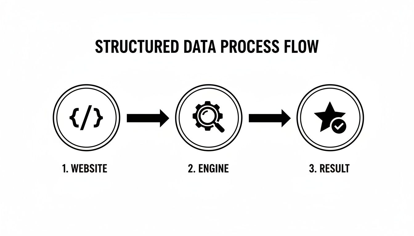 A diagram illustrates the structured data process flow from website to engine to result.