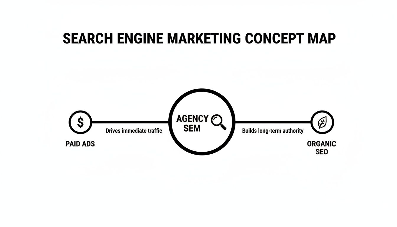Concept map illustrating Search Engine Marketing (SEM) via Agency SEM, linking Paid Ads for immediate traffic and Organic SEO for long-term authority.