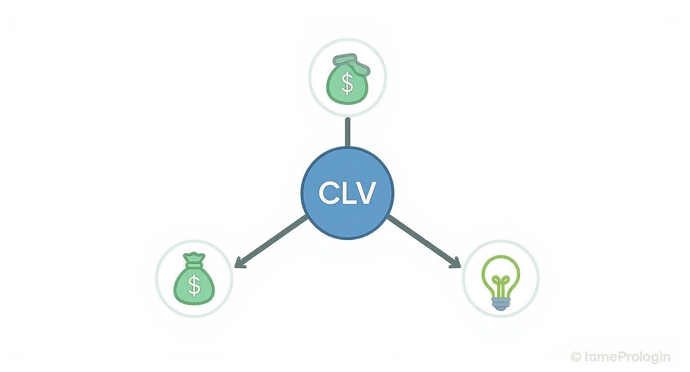 A diagram illustrating CLV (Customer Lifetime Value) connected to two money bags and a lightbulb.