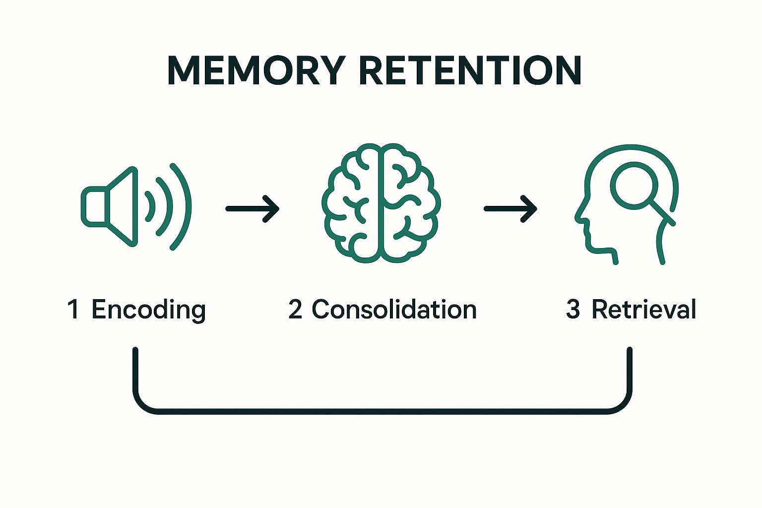 Infographic about how to retain information better
