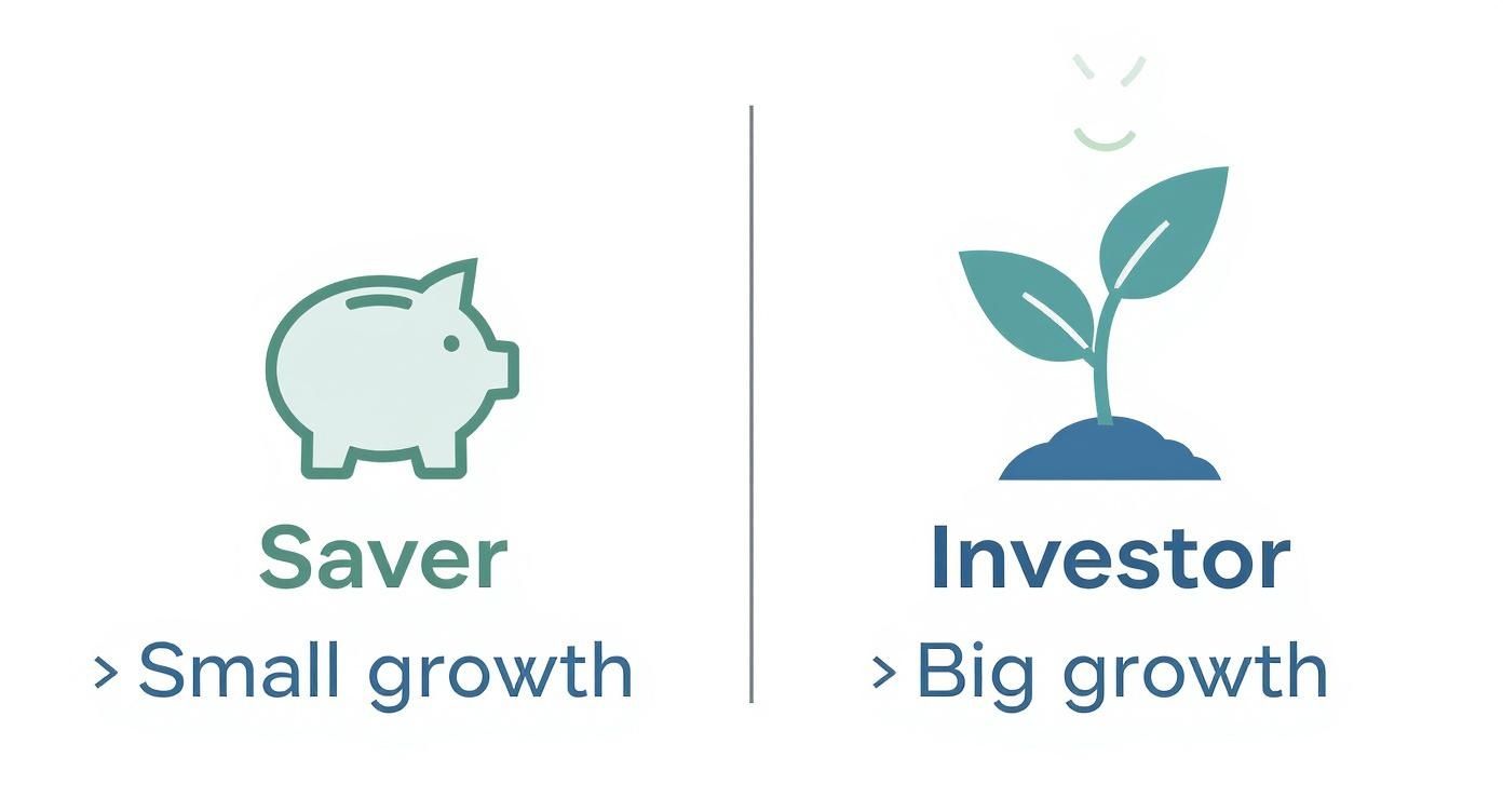 Infographic about stock market investing for dummies